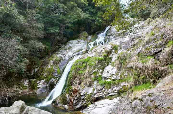 �����s�E���]�s���̑�